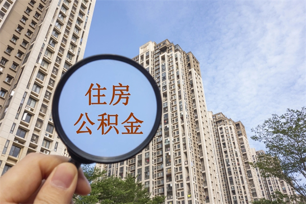 定安离职后公司不给转公积金怎么办（离职后公司不给转社保怎么办）